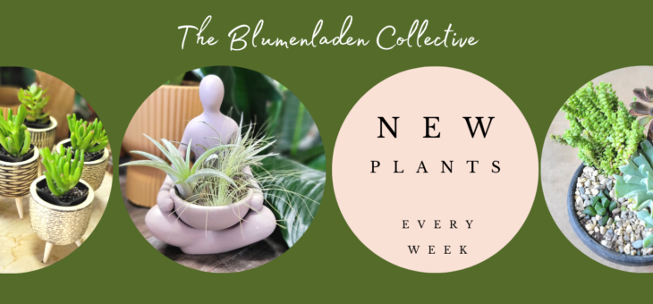 Did You Know We Love Plants?