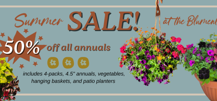 Summer Sale!