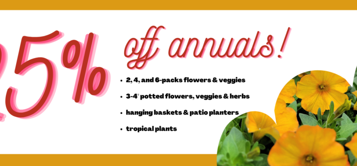 Annuals Sale!