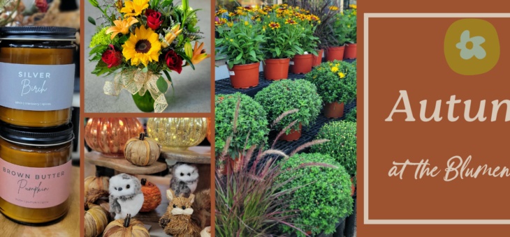 Changing with the Seasons!