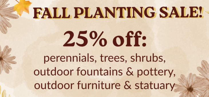 Outdoor Sale!